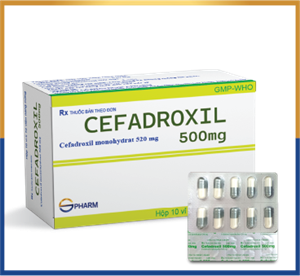 CEFADROXIL 500mg